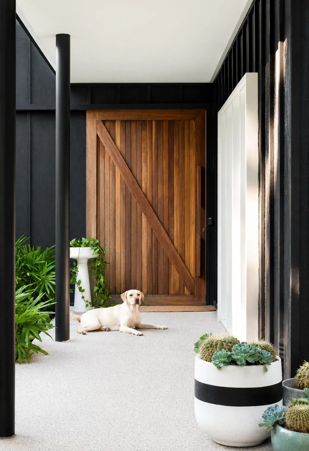 Honed concrete entry at a Sunshine Coast home