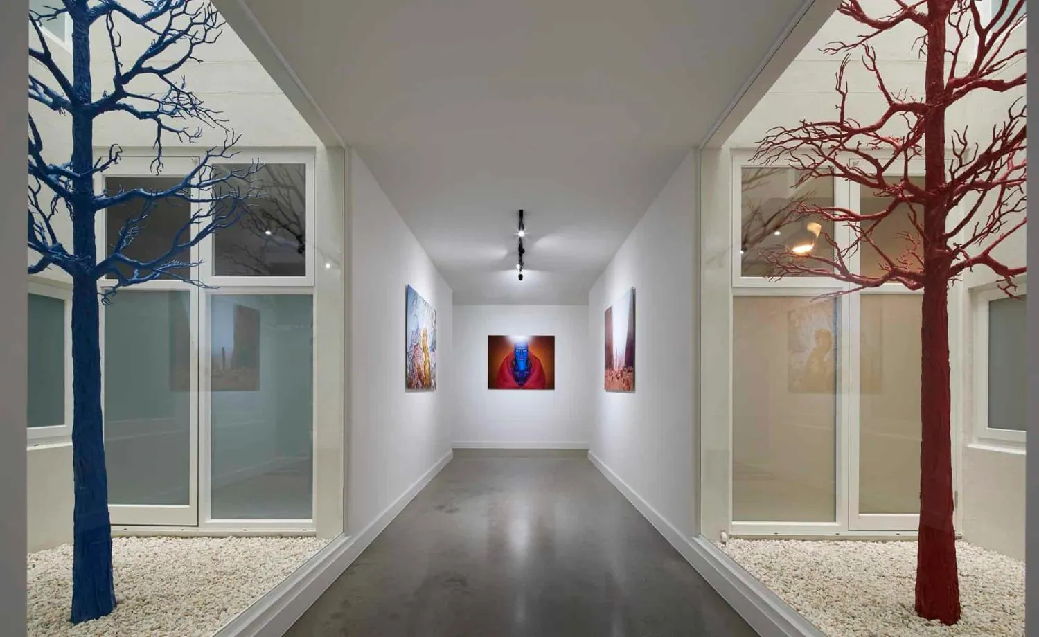 Polished concrete floor in a Brisbane office fit-out