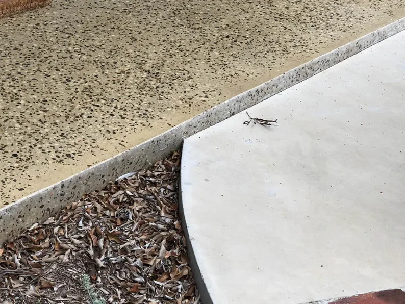 Yellowing topical sealer on an outdoor grind and seal floor