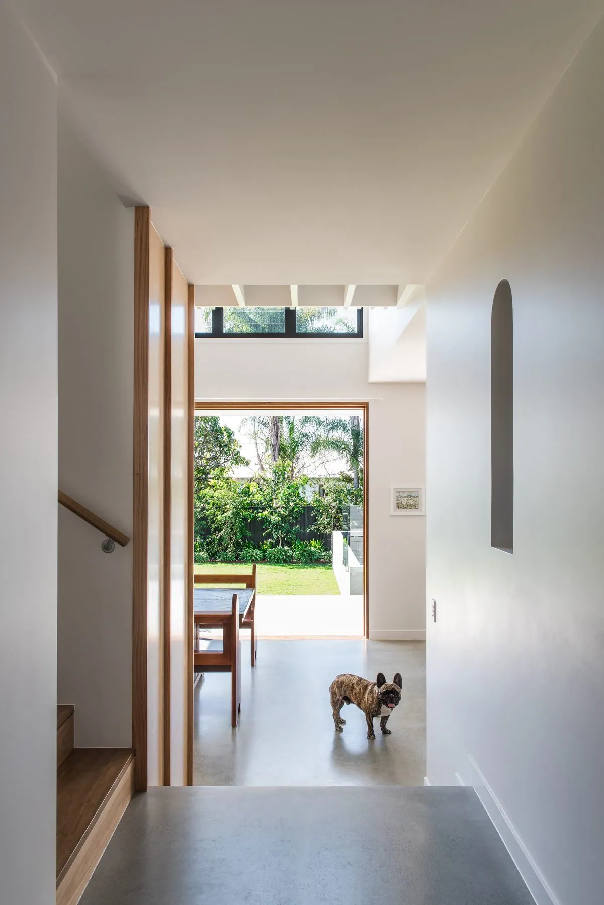 Polished concrete hallway opening to a leafy garden with a dog, Bones Studio project