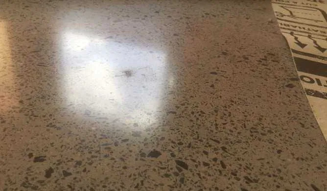 Plucked repair compound