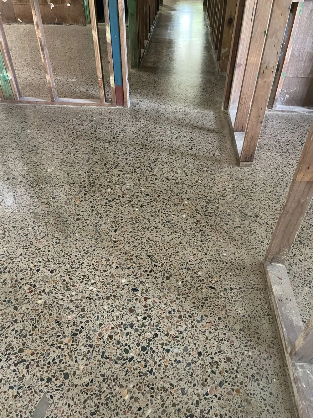 Polished hybrid concrete floor running down a hallway in a stripped-back Brisbane home renovation by OzGrind