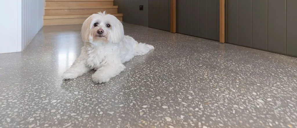Mechanically polished concrete floor at the K2 Projects home, Hawthorne Brisbane - photo 7