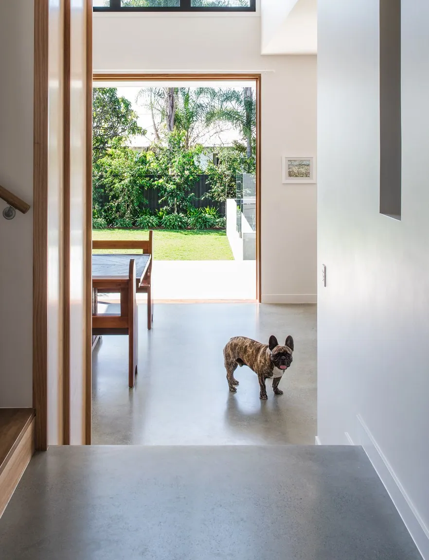 Mechanically polished concrete floor in a Bones Studio Architects designed Brisbane home