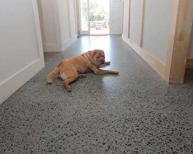 Full exposure polished concrete in a Brisbane home hallway
