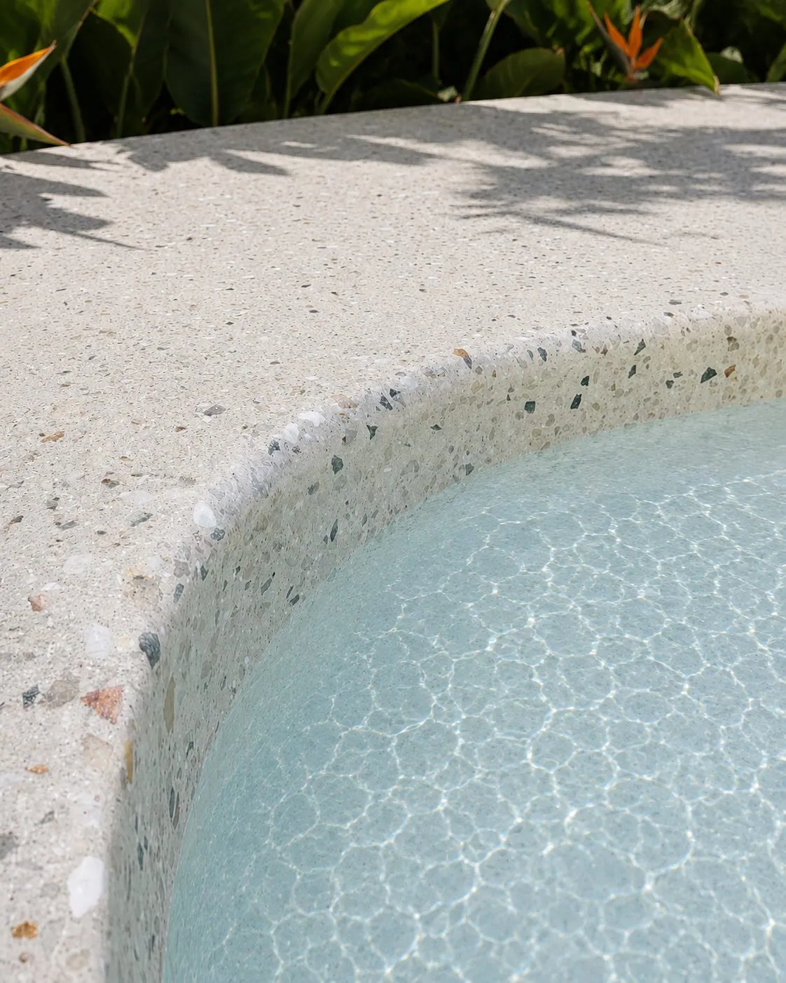 Close up of a seamless curved honed concrete pool edge and coping with terrazzo style stone exposure in Brisbane