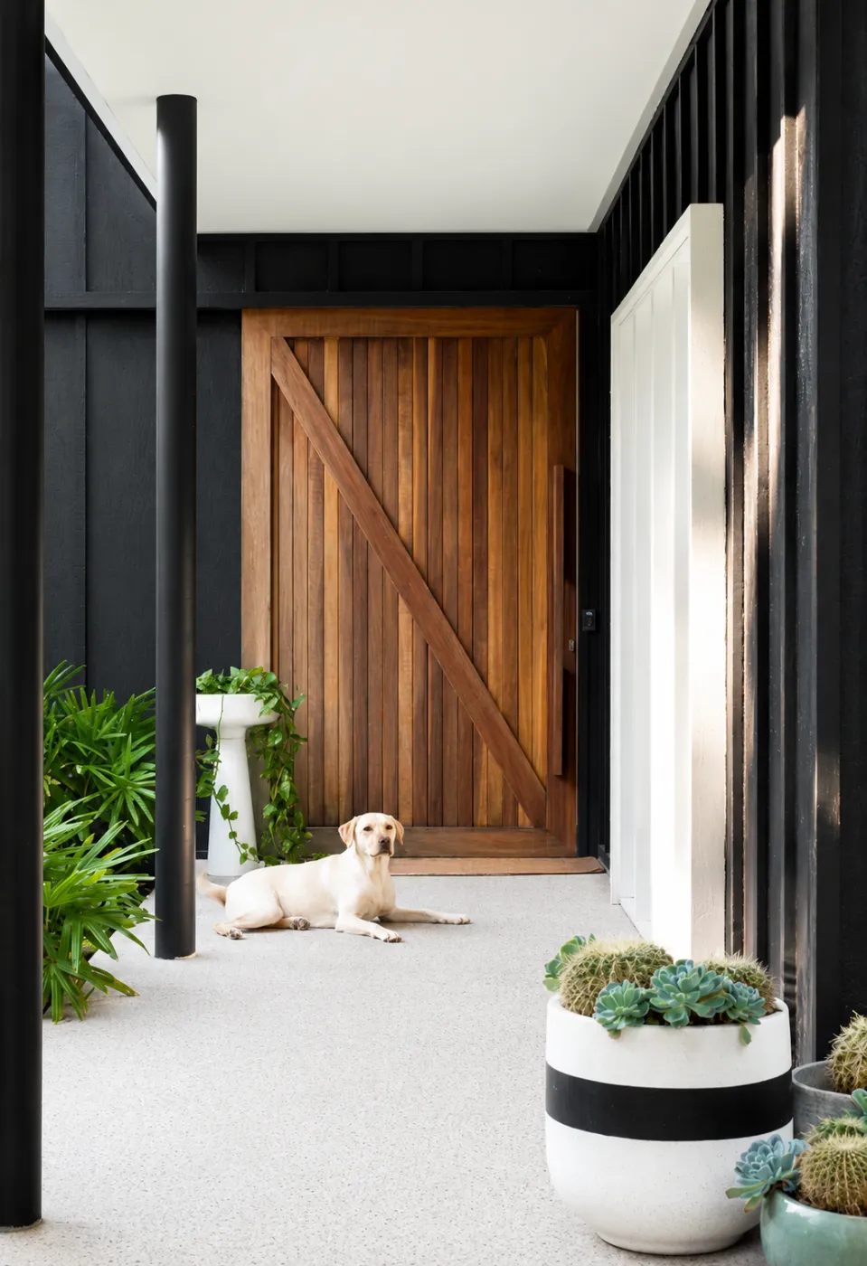Exposed aggregate honed concrete entry with a timber door in a Brisbane home