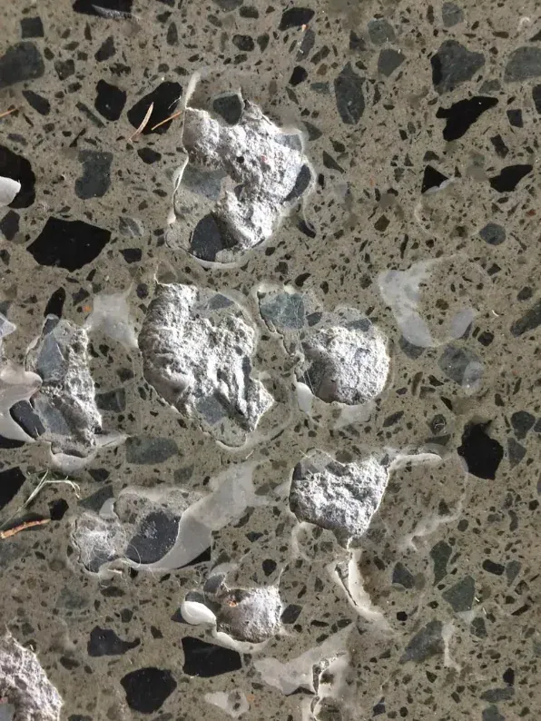 OzGrind Polished Concrete