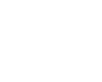 Metricon